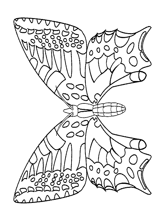 Mariposa #6362