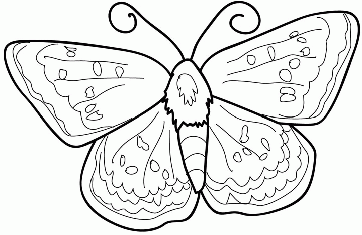 Mariposa #6363