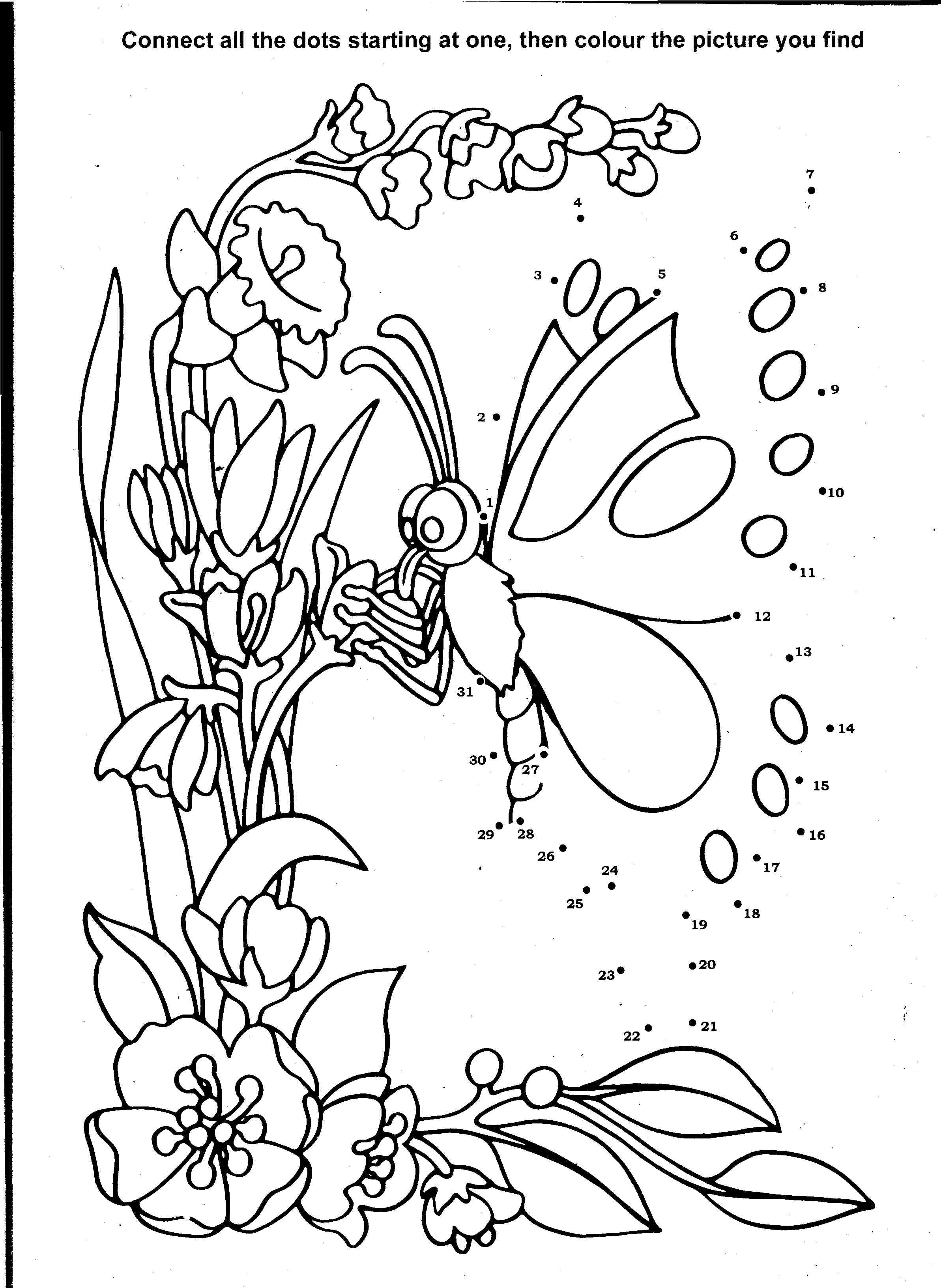 Mariposa #6364
