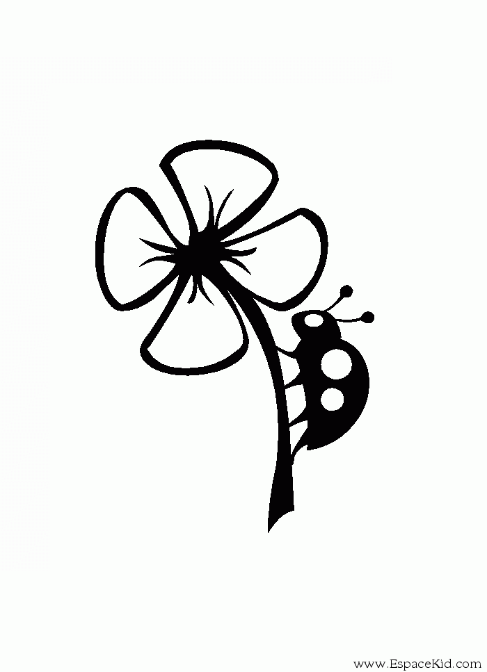 Mariquita #6420