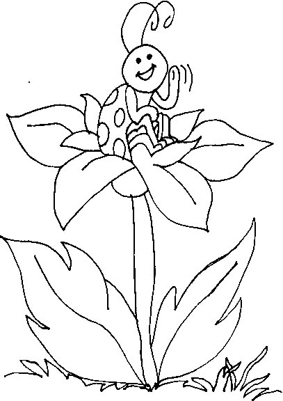 Mariquita #6466