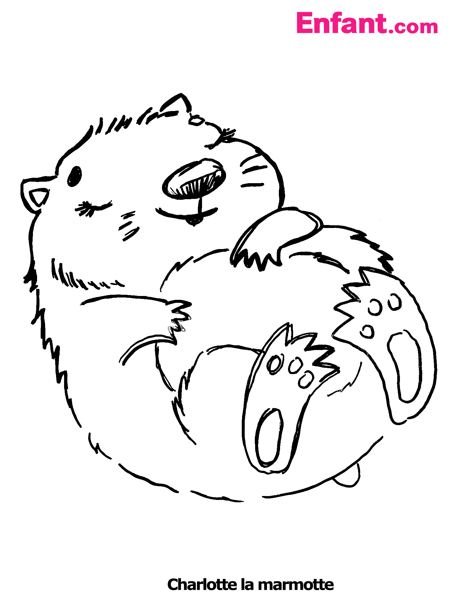 Marmota #6484
