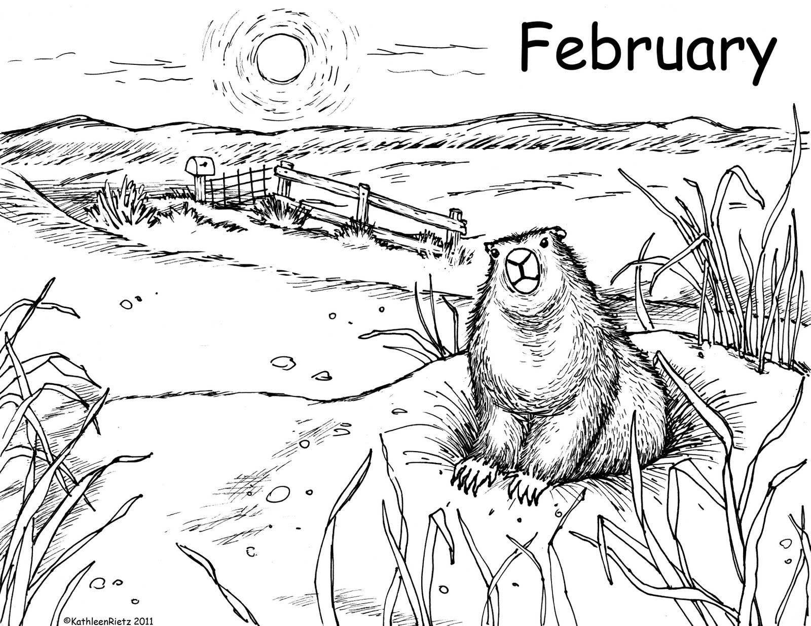 Marmota #6489