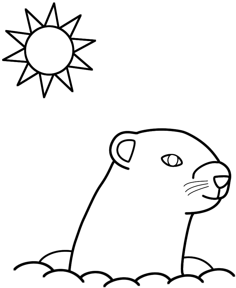 Marmota #6493