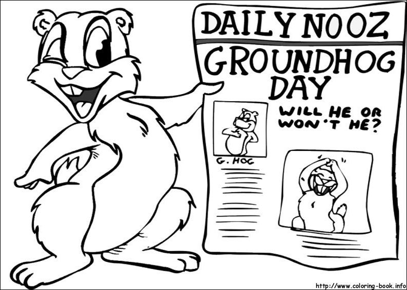 Marmota #6496