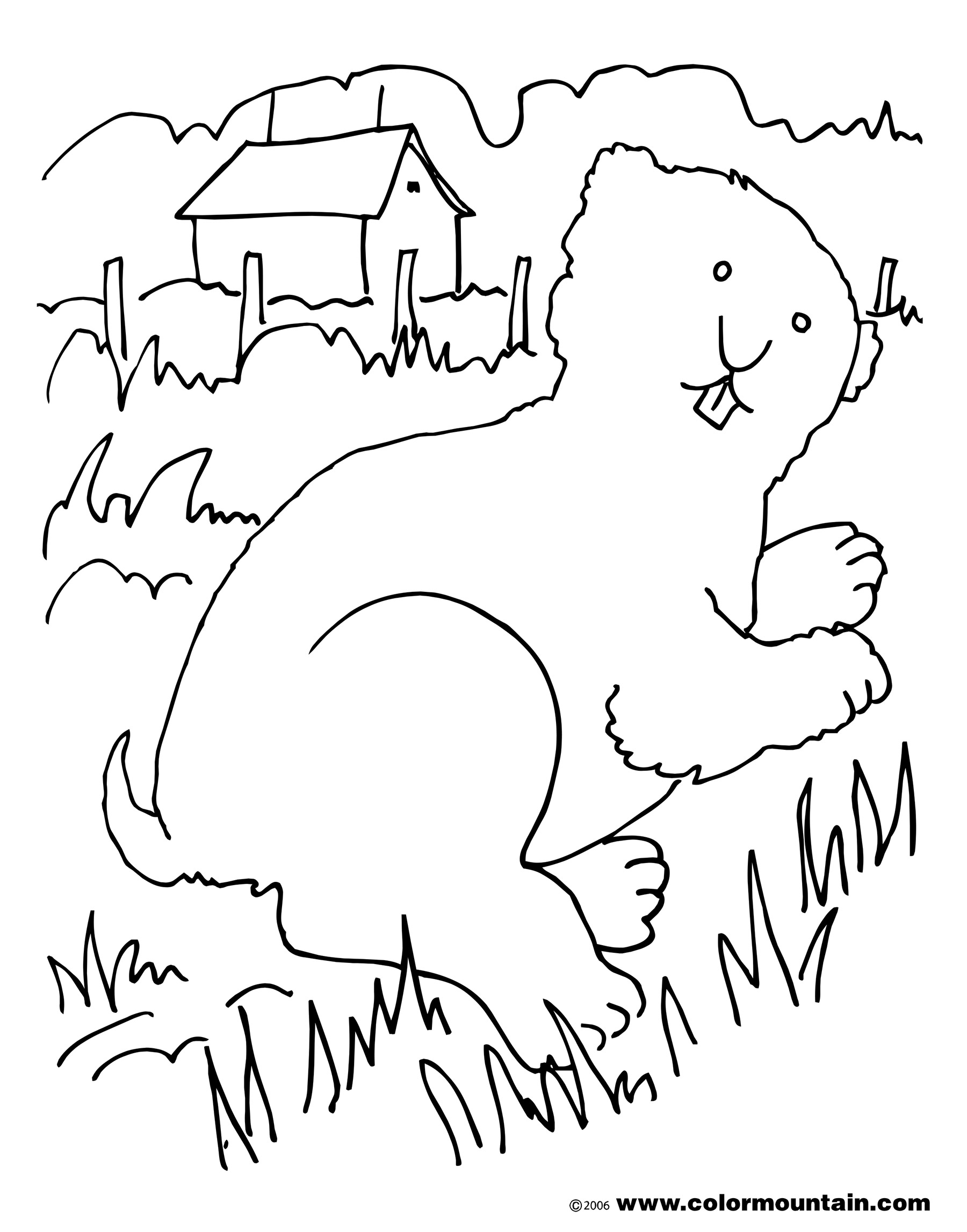 Marmota #6507