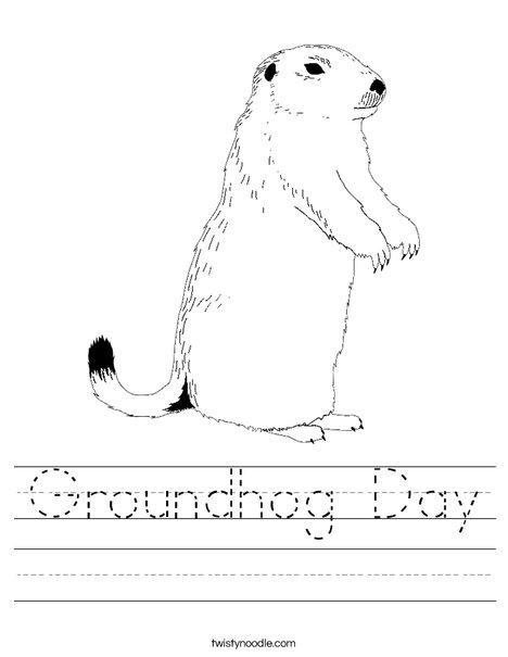 Marmota #6508