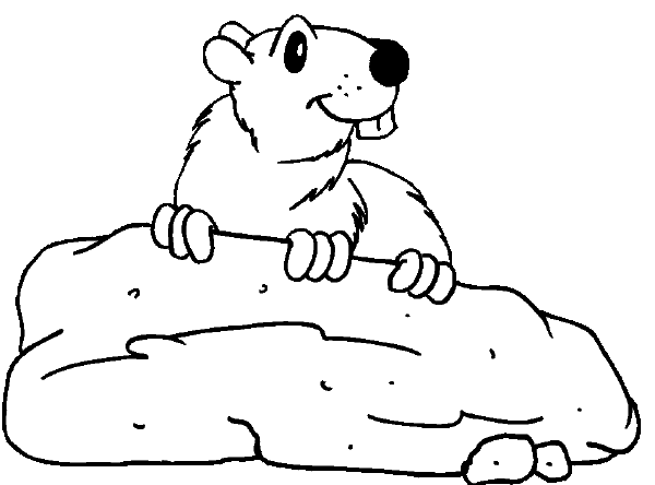 Marmota #6519