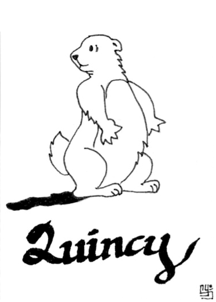 Marmota #6522