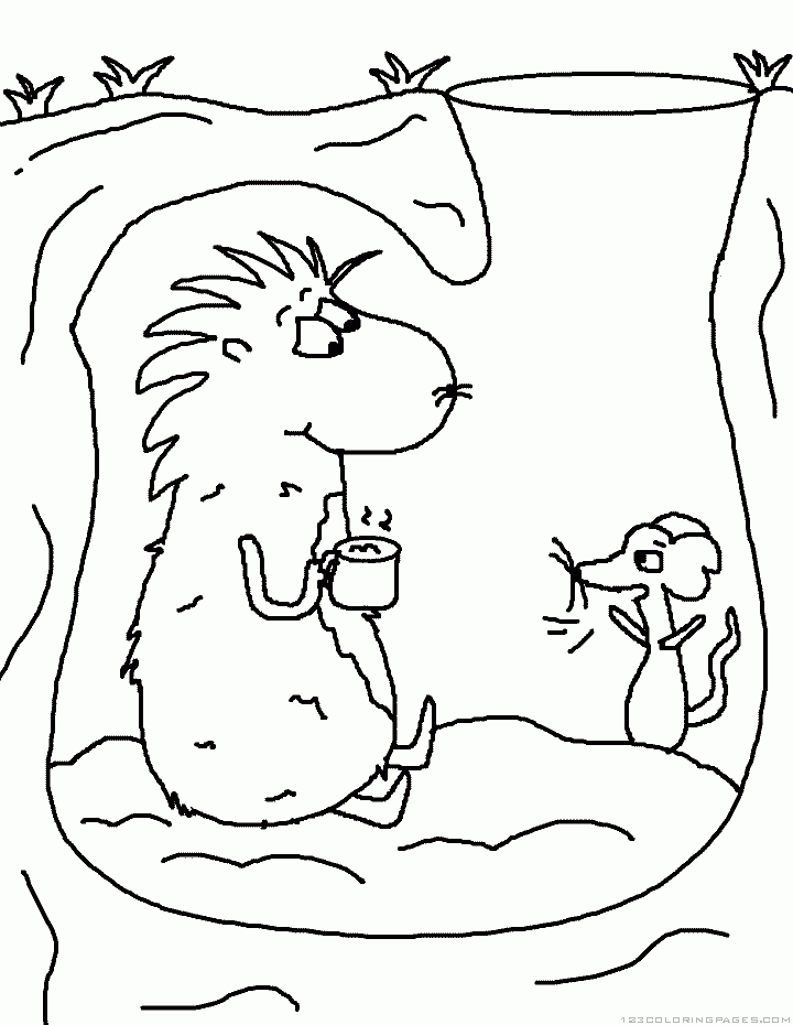 Marmota #6533