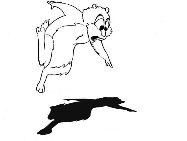 Marmota #6535