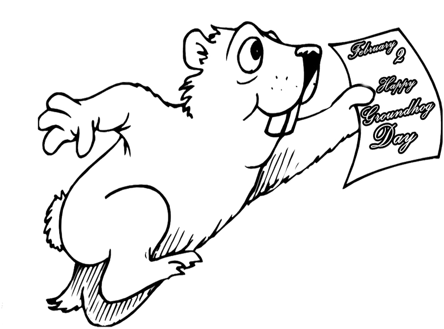 Marmota #6545