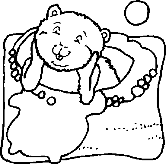 Marmota #6548
