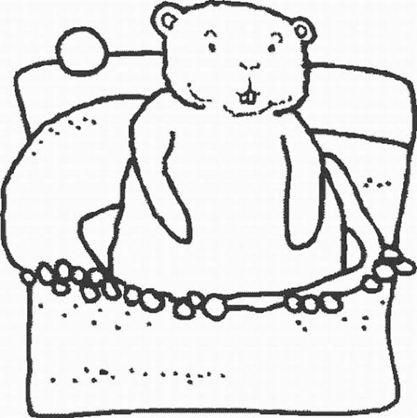 Marmota #6551