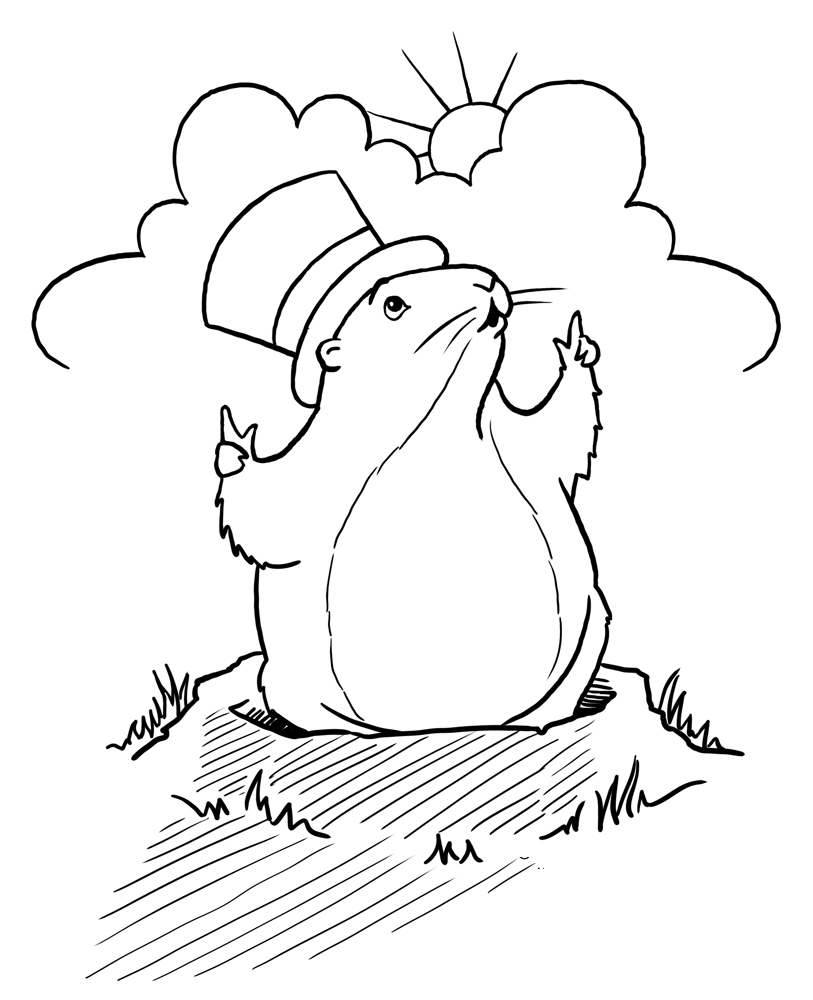 Marmota #6555