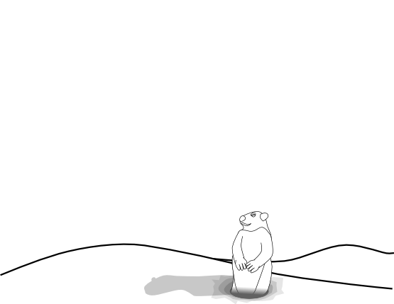 Marmota #6575