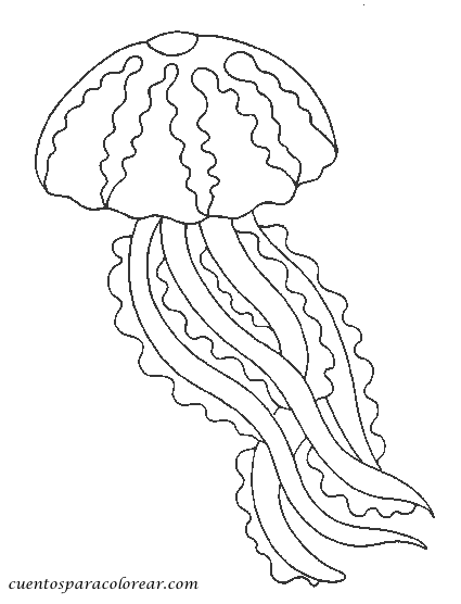 Medusa #6579