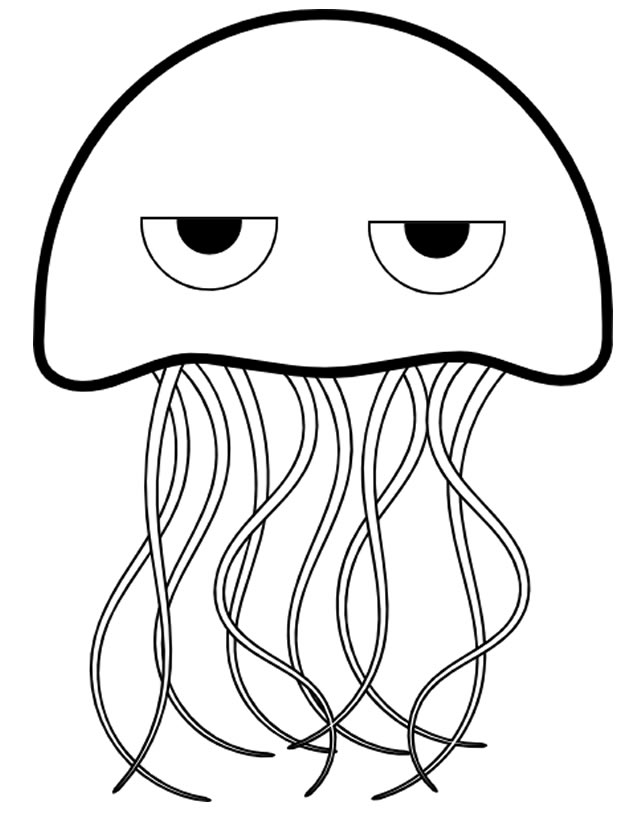 Medusa #6590
