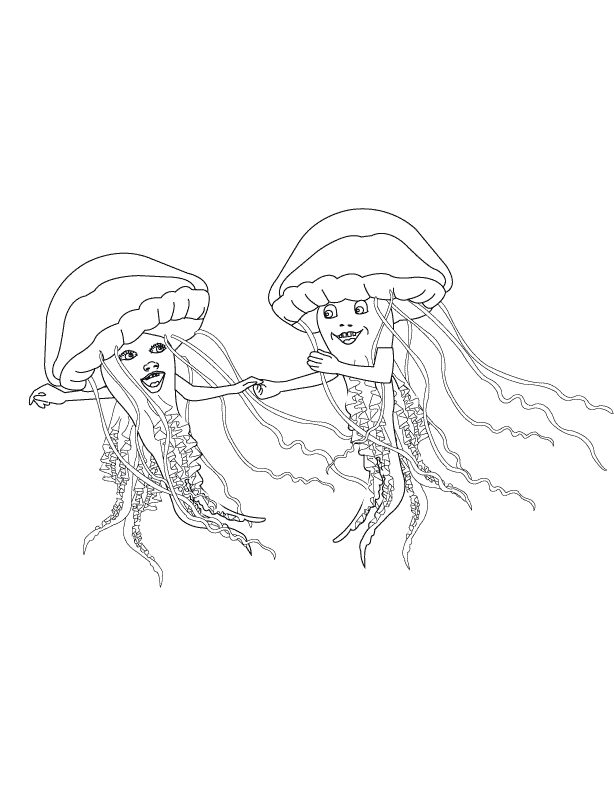 Medusa #6617
