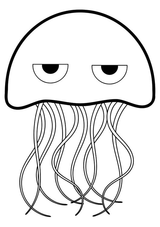 Medusa #6632