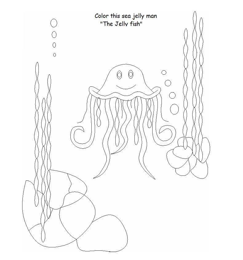Medusa #6639