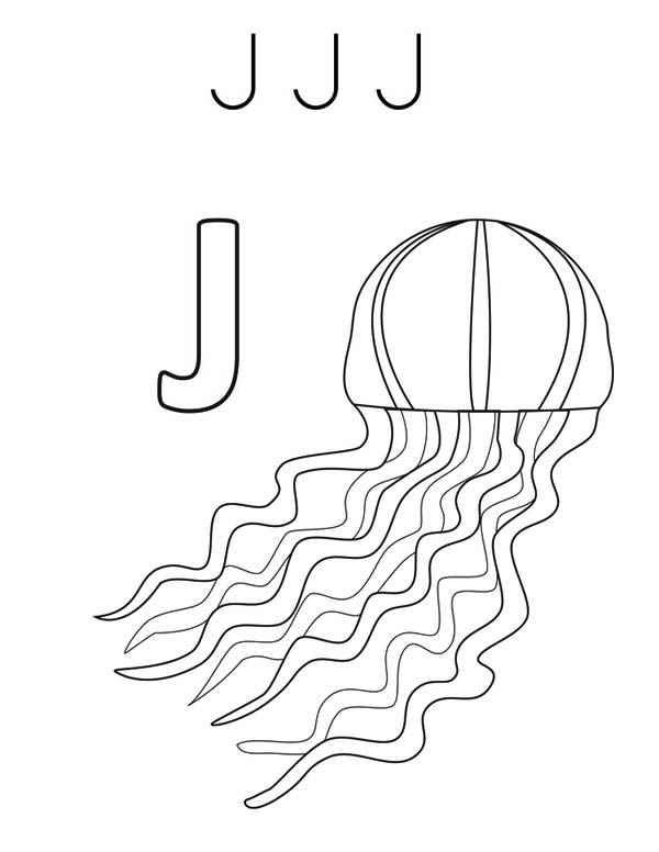 Medusa #6640