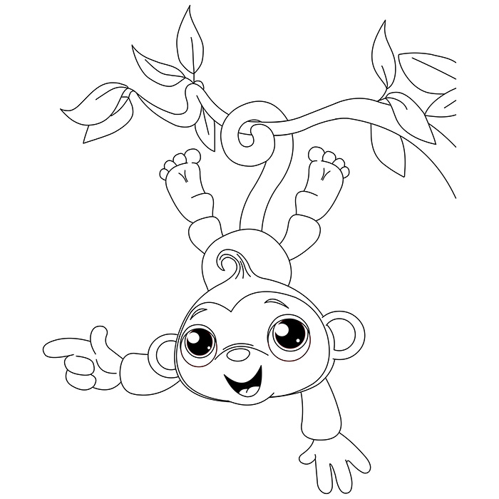 Mono #6686