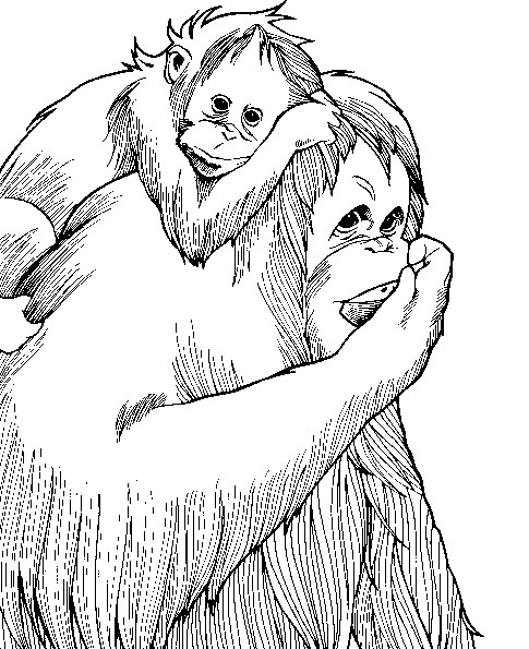 Mono #6720