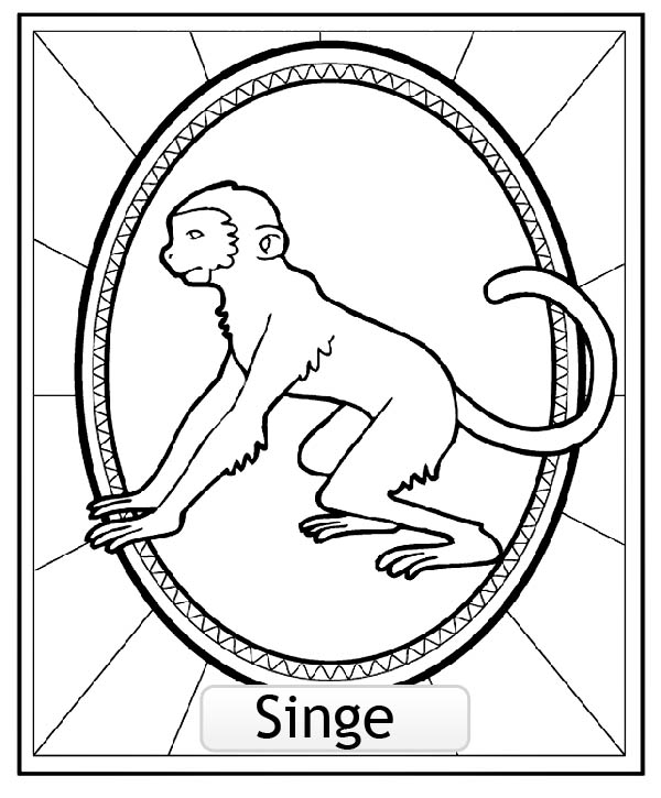 Mono #6729