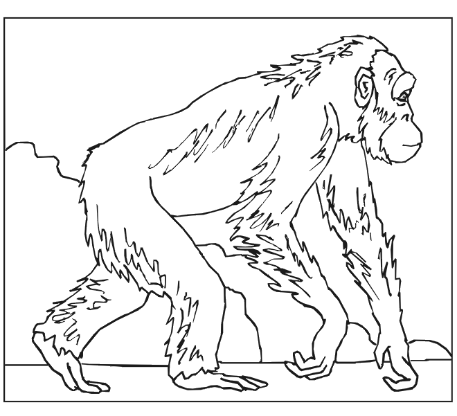 Mono #6730