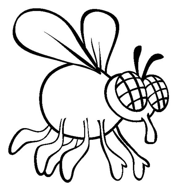 Mosca #6835