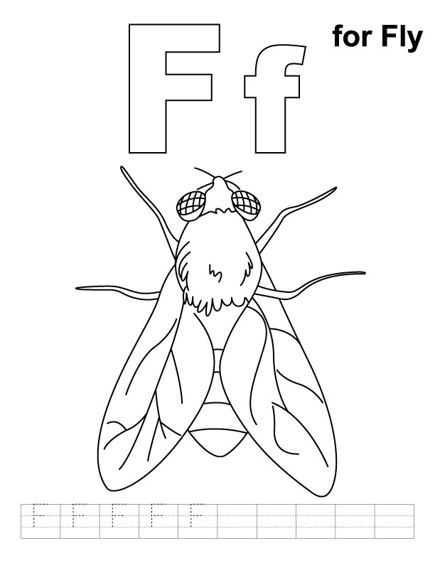 Mosca #6846