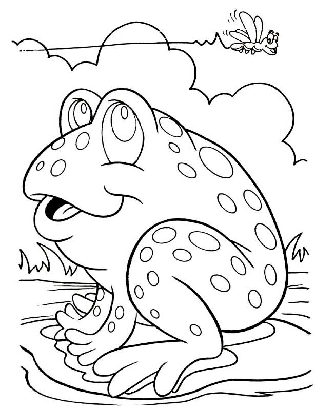 Mosca #6850