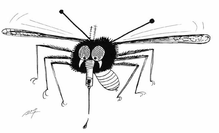 Mosquito #6863