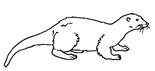 Nutria #6961
