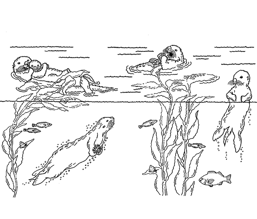 Nutria #6965