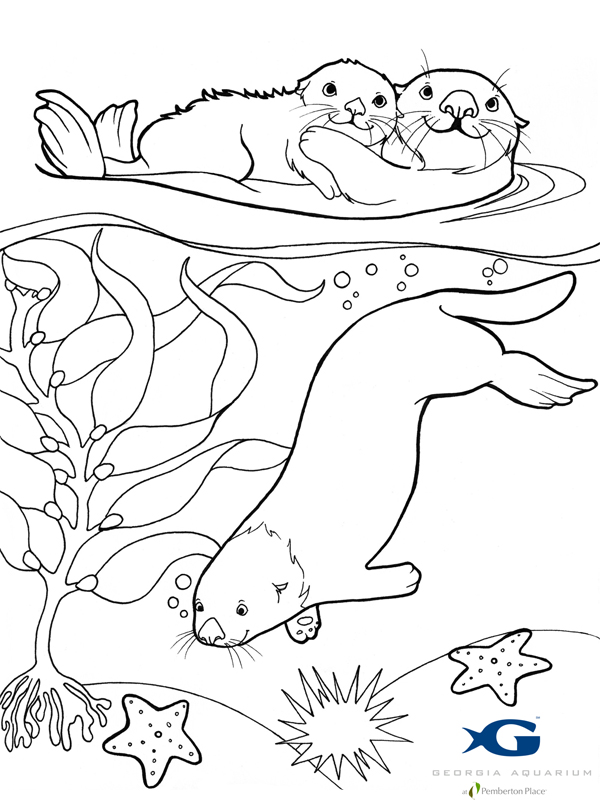 Nutria #6969
