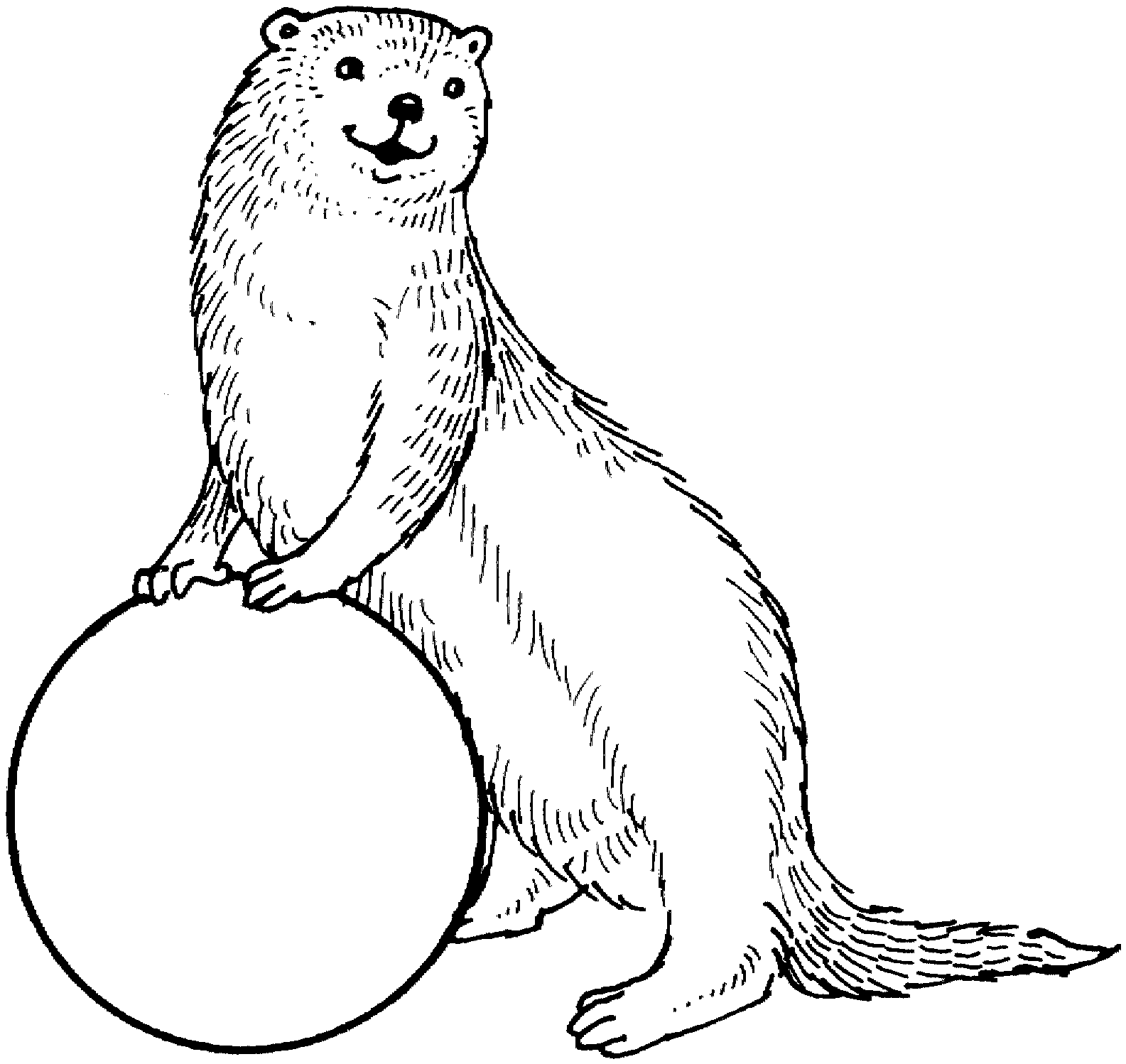 Nutria #6975