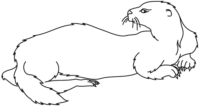 Nutria #6979