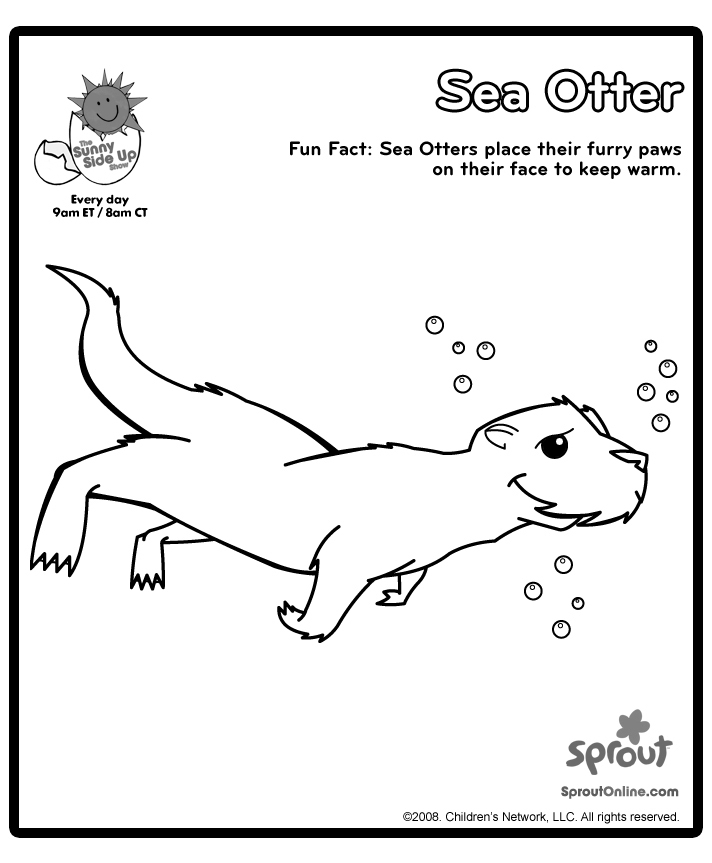 Nutria #6986