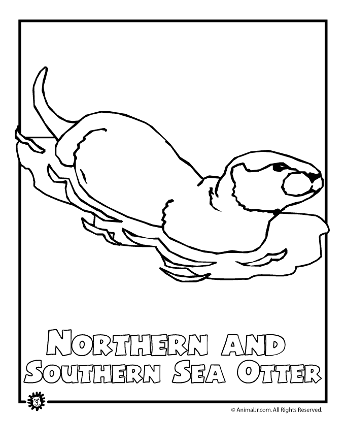 Nutria #6995