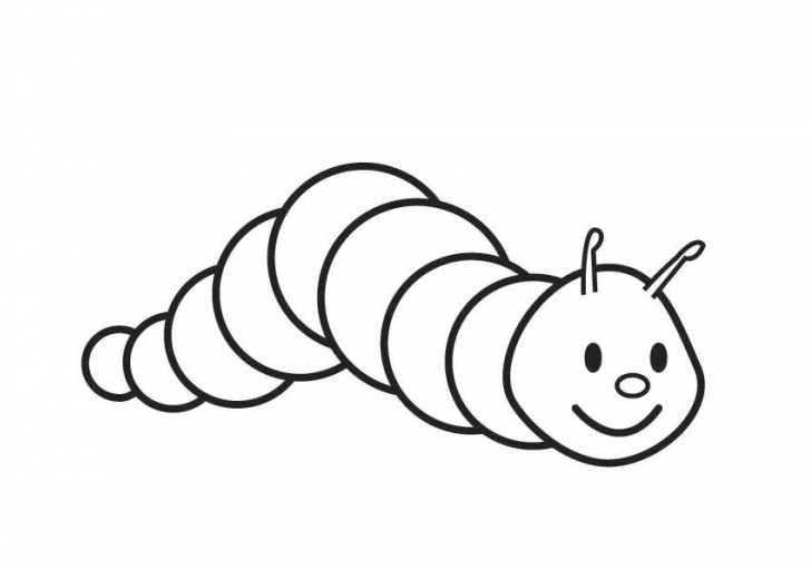 Oruga #7018