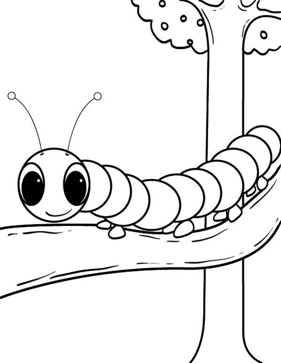Oruga #7022