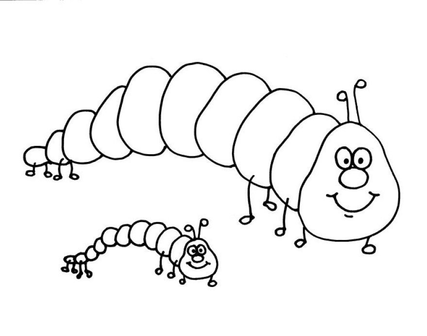 Oruga #7028