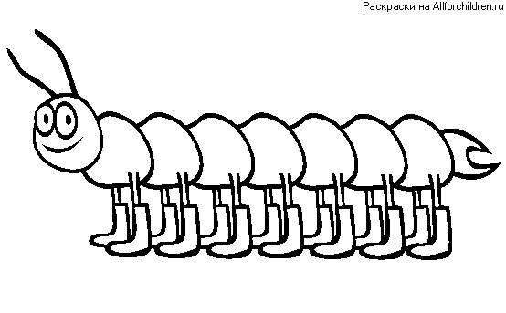 Oruga #7032