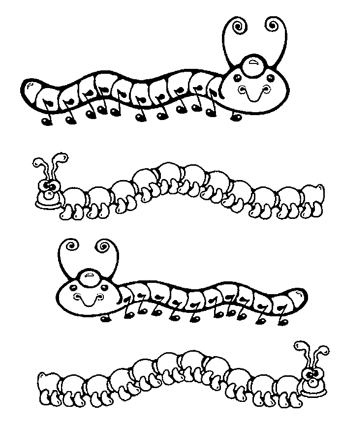 Oruga #7039