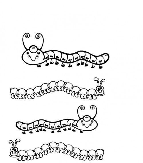 Oruga #7055