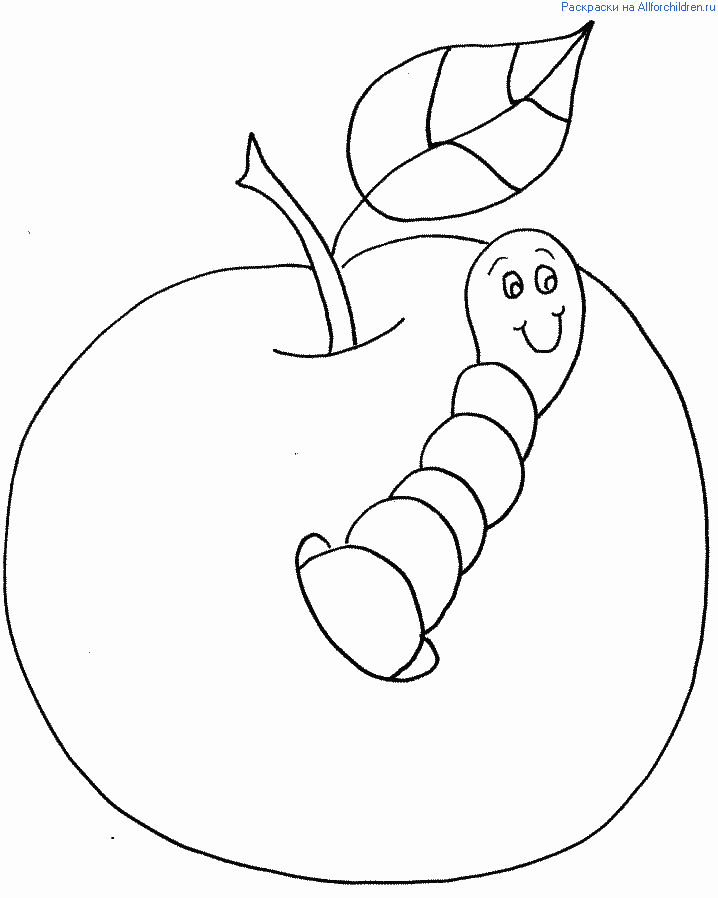 Oruga #7060