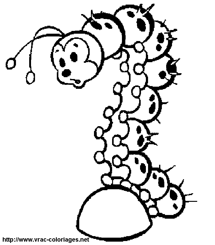 Oruga #7064