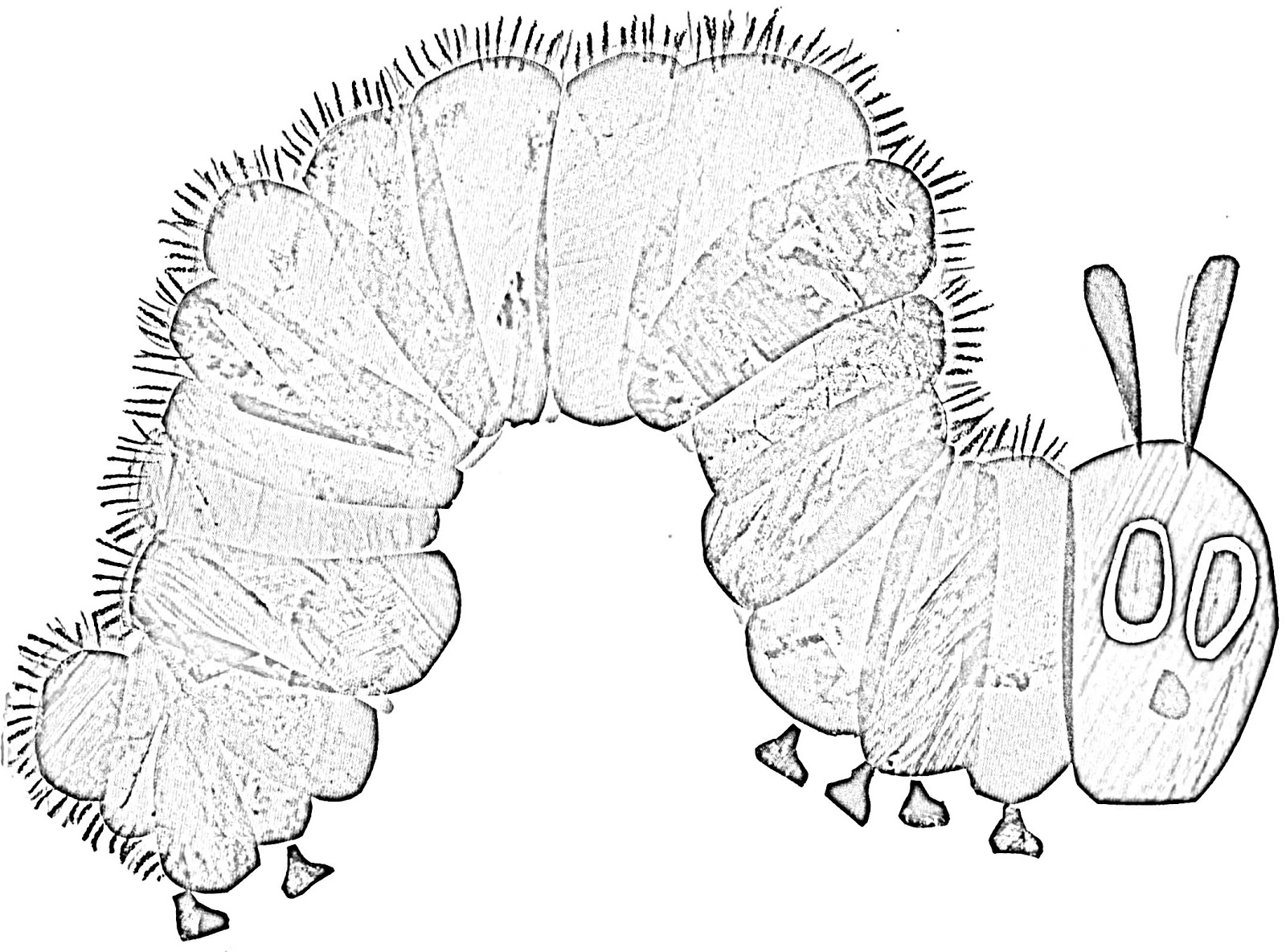 Oruga #7067